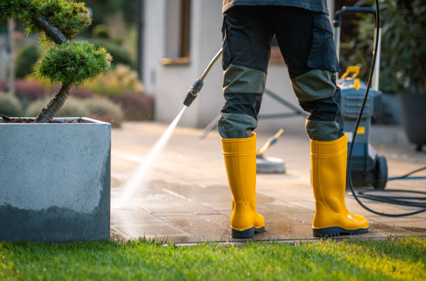 Best Pressure Washing Near Me  in New Lno, LA